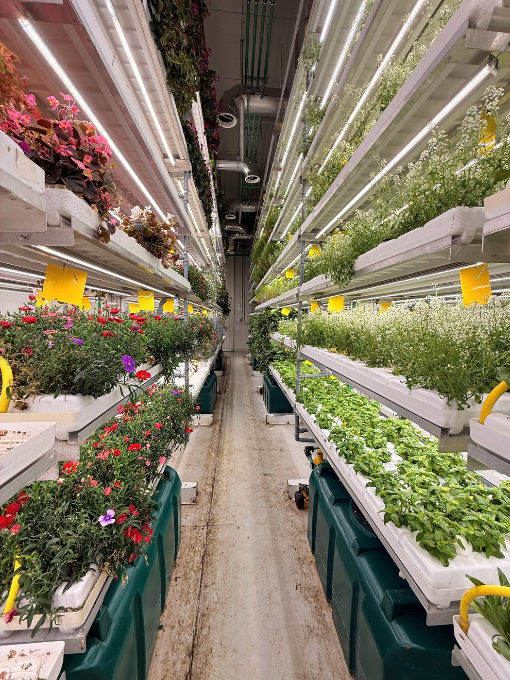 Indoor farming facility with stacked production rows