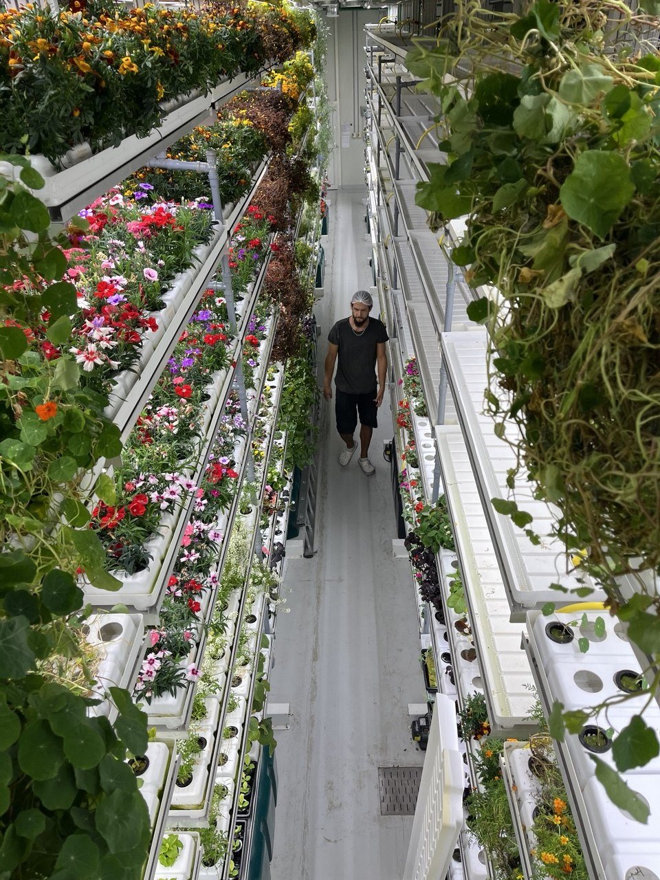 Indoor flower and specialty crop production facility