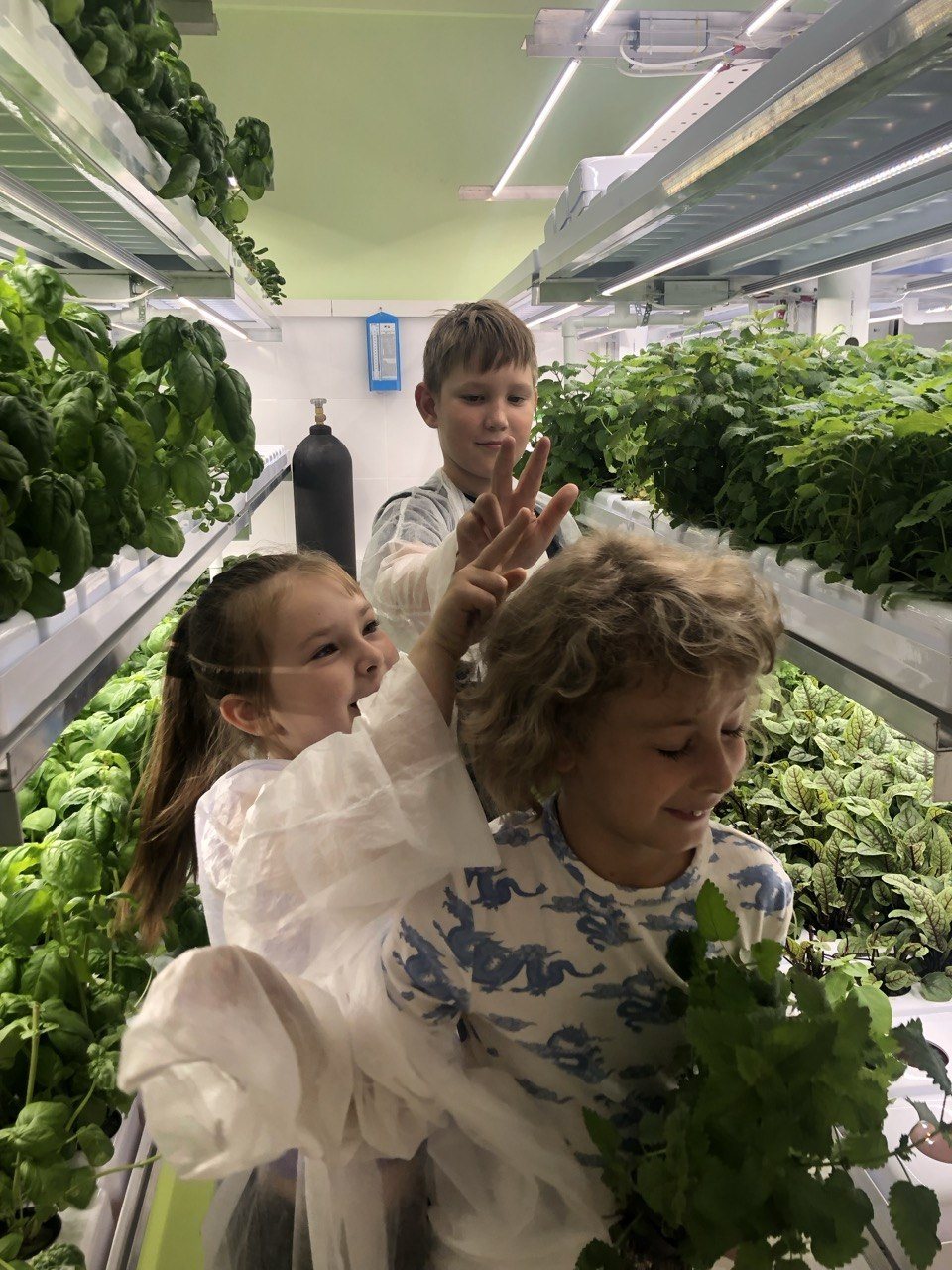 Children exploring crops between indoor farming racks