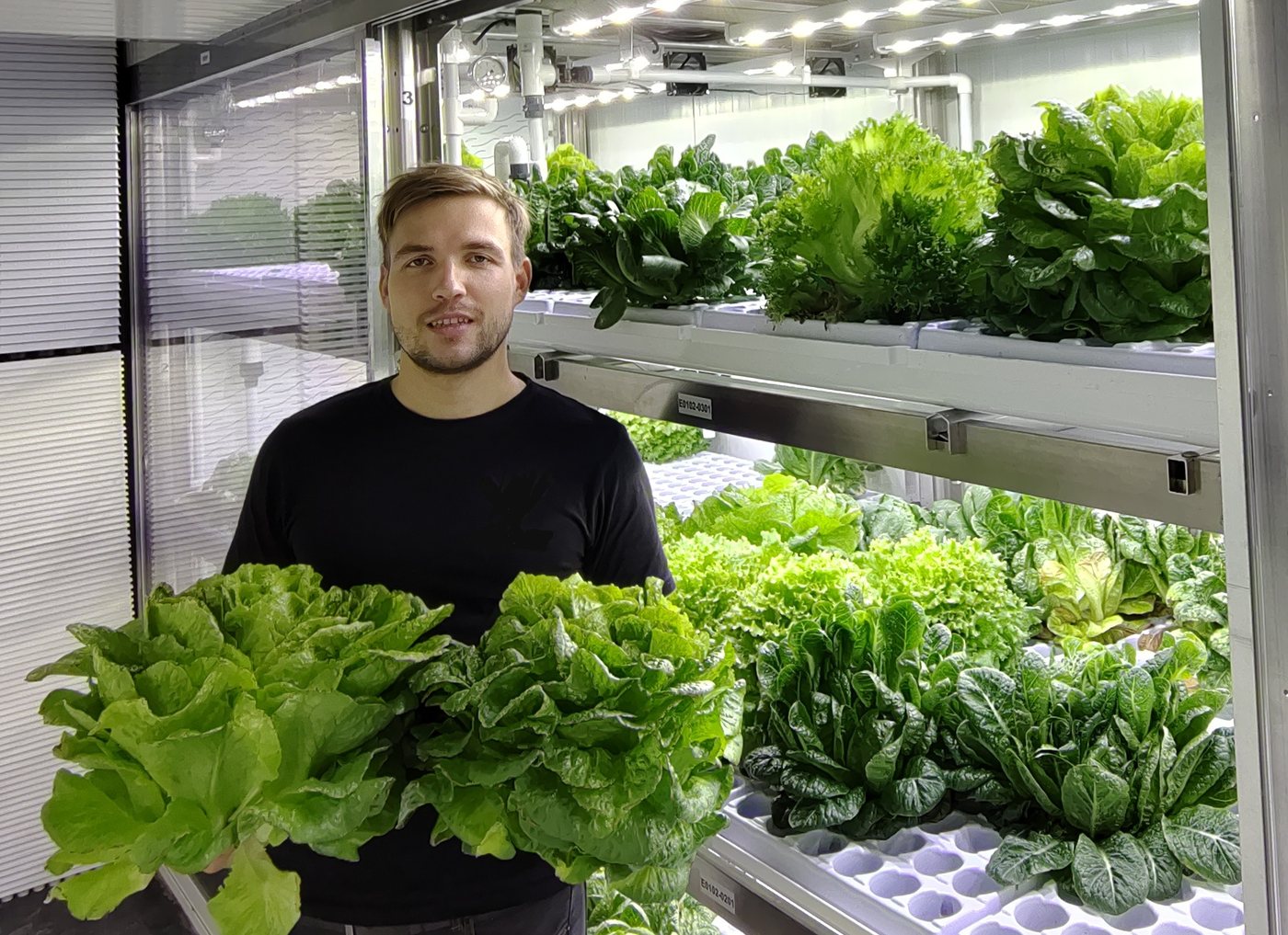 Leafy greens production inside a controlled-environment facility